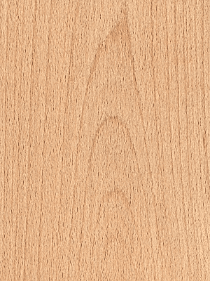 Ahşap Kayın Taslak Ahşap Kayın Taslak